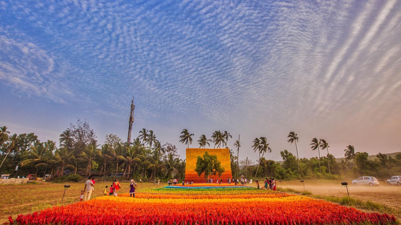 Saligao Pinnacle Countryside With Plunge Pool المظهر الخارجي الصورة